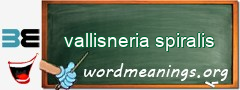 WordMeaning blackboard for vallisneria spiralis